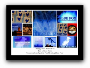 blue fox mix