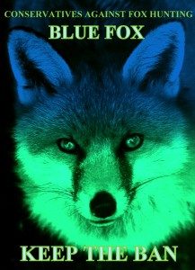 fox face blue green glow blue fox words