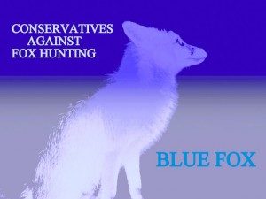 foxprofilebodypaleblue.jpg blue fox cconservatives against fox hunting